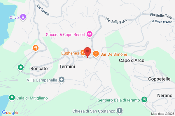 La Mimosa Di Cacace Anna Maria