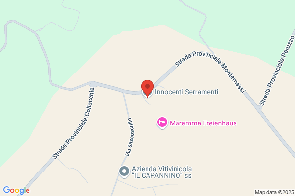 Innocenti Nedo