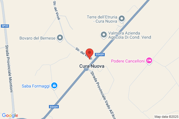 Il Leccio Snc Di Dondolini E C.
