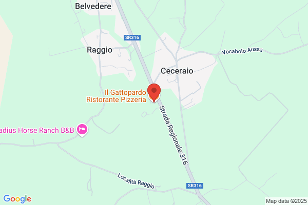 Il Gattopardo Ristorante Pizzeria