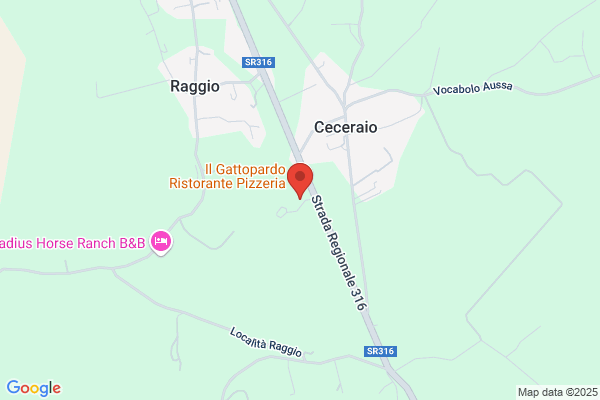 Orsini enrico