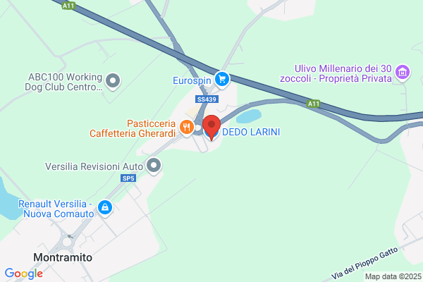 Leofanti orlando