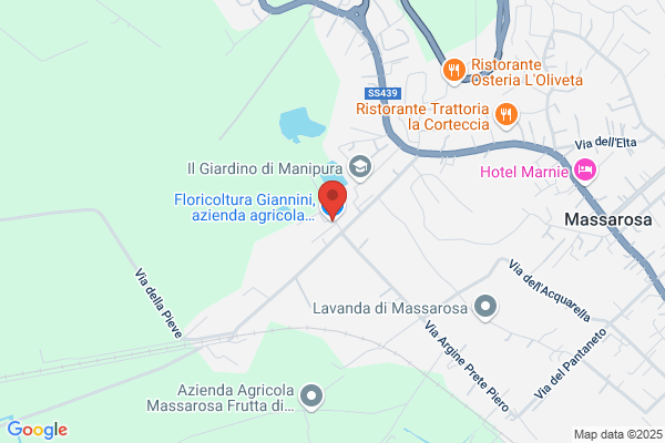Giannini Renza