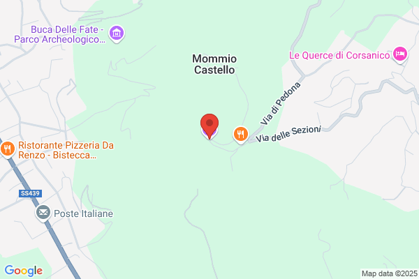 Panconi pier Giorgio (Geom.)