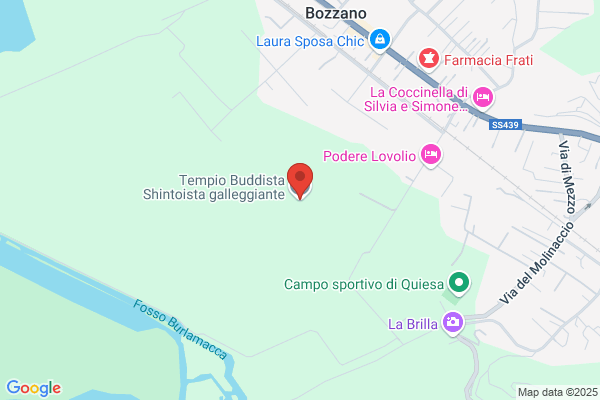 Il Tempio Del Sauro Sas Di Cinquini a.&c.