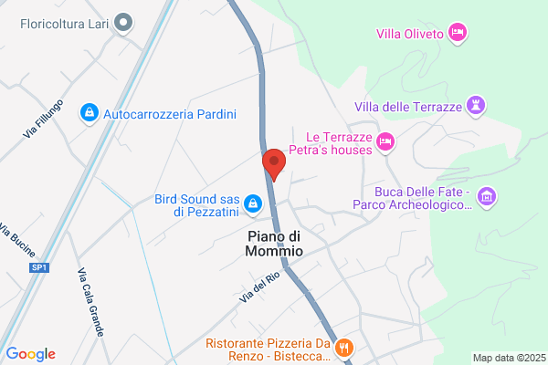 Piccolo Viell