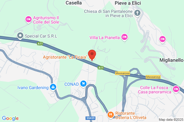 La Conchiglia Srl