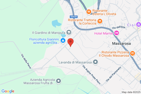 Paolo Pelosini