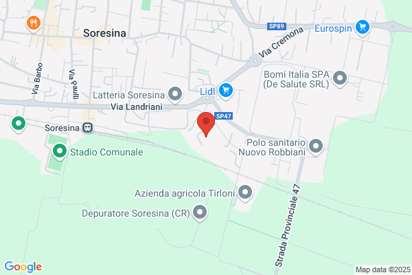 S.I.M.P. Spa - Societa Italiana Materie Prime -
