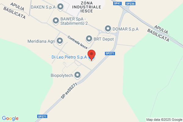 Di Leo Pietro Spa