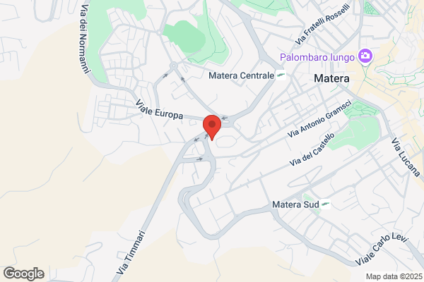Lingua + Language Center