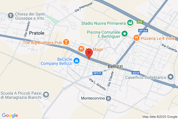 Fiorire S.A.S. Di Martielli Nicola