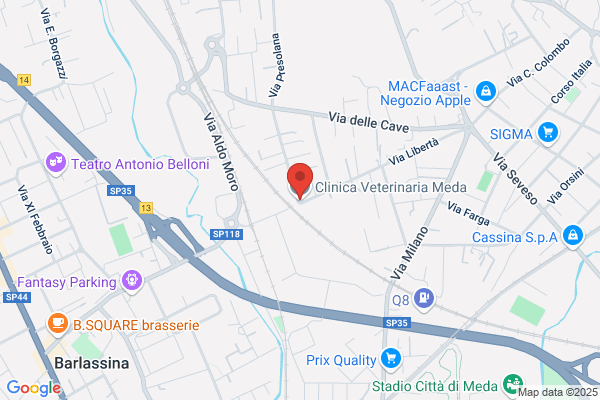 Ambulatorio Veterinario Associato