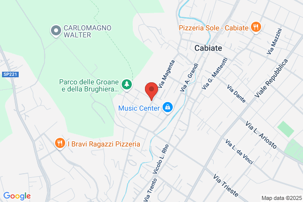 Pigoli Salotti Srl