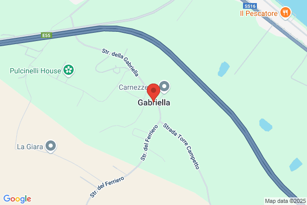 Norgia gabriella