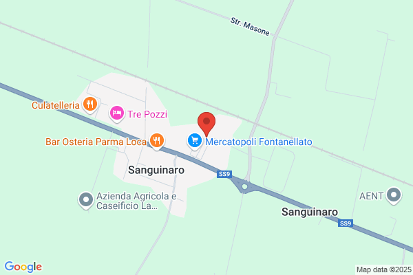 Salvalaggio gianluca