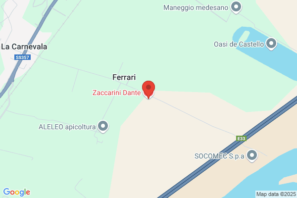 Zaccarini dante (Dr.)