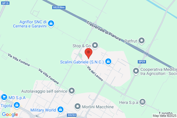 Orm Di Marchi Fabio