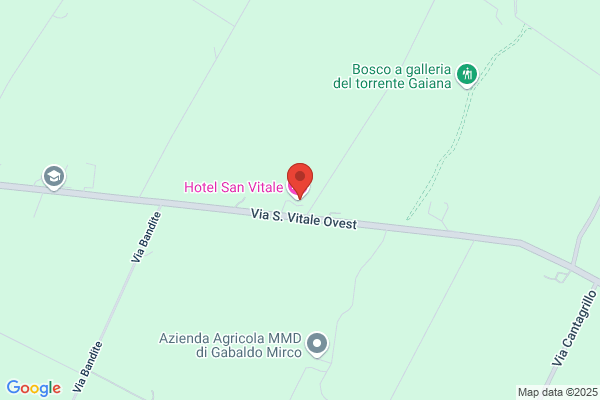 Ristorante Pizzeria San Vitale