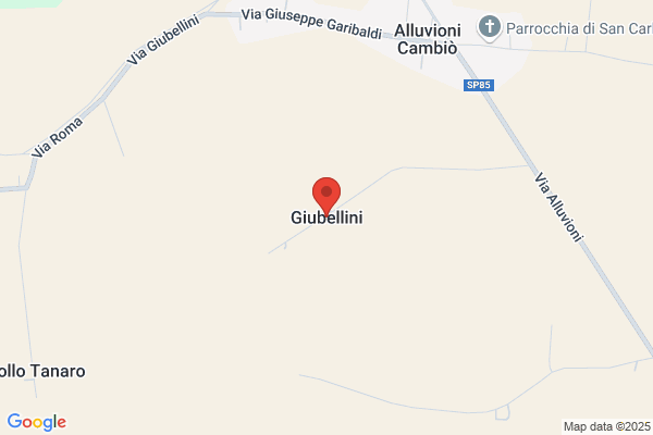 Giubellini Gianni