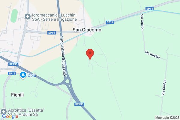 Messedaglia giancarlo