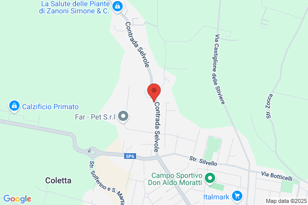 Ristorante Pizzeria Selvole