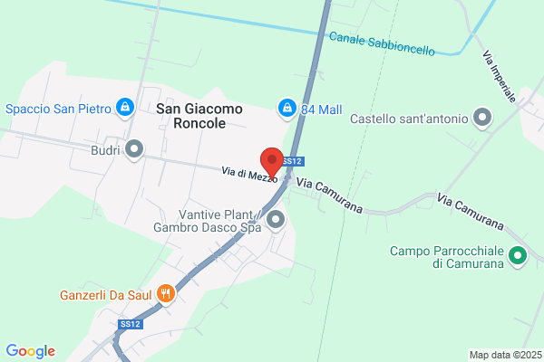 Goldoni F.Lli Aldo & Rino (S.N.C.)