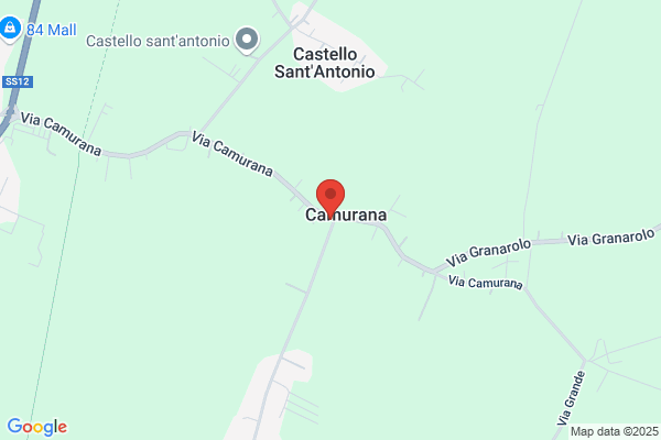 Pizzeria Losteria Di Camurana