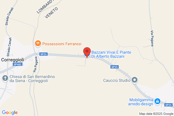 Bazzani Alberto Vivai e Piante