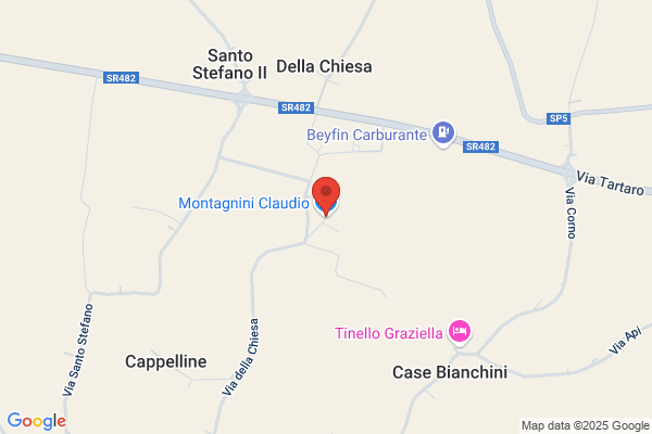 Montagnini bruno