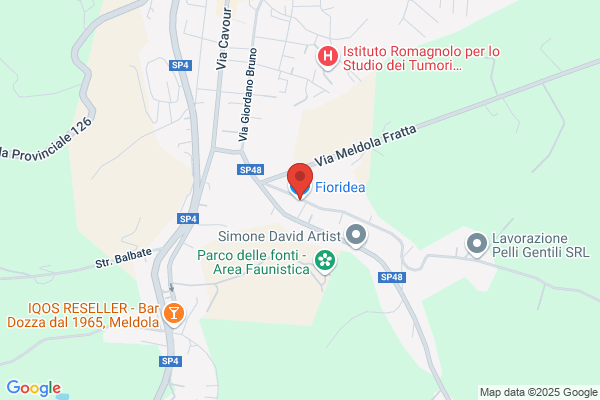 Fioridea Di Policarpi E Giorgini Snc