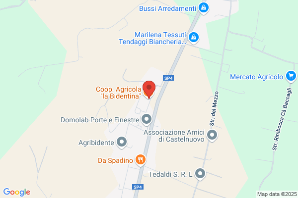 Co.Bi.T Cooperativa Bidentina Trasporti S.R.L.