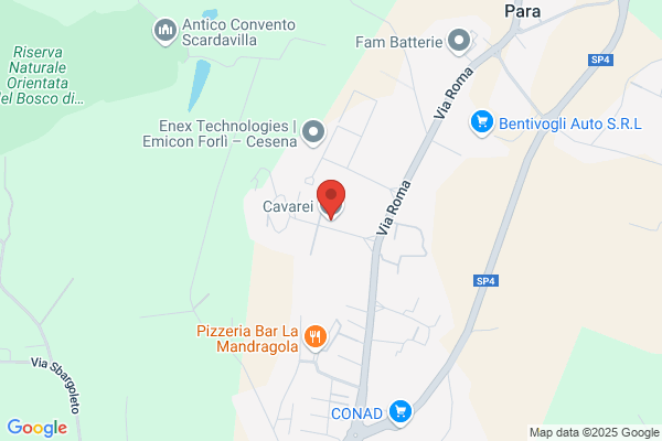 Cosmogas Srl