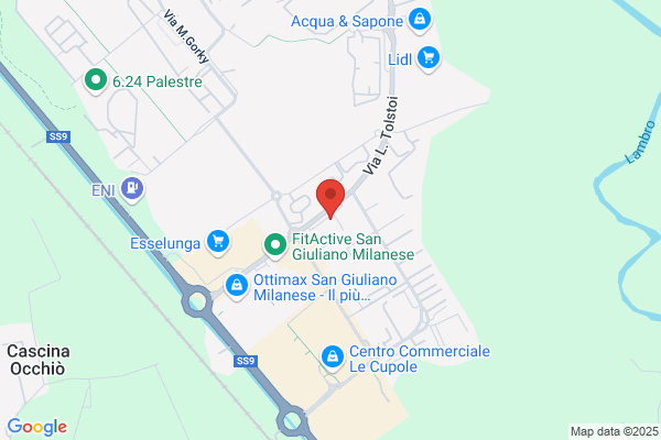 Brambini e Bussetti Auto