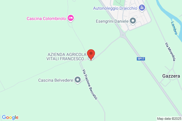 Vitali F.Lli Di Pietro Antonio & Cesare rocco (S.N.C.)