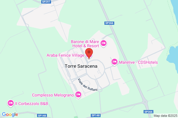 Hotel Araba Fenicia