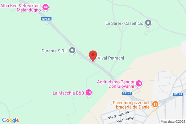 Petrachi annamaria