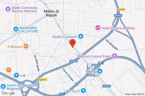 World Flower Di Lupone Vittorio