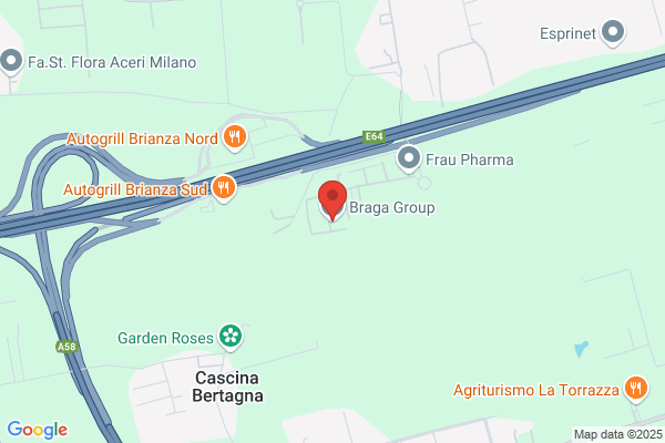 Ditta Braga Di Angelo Braga