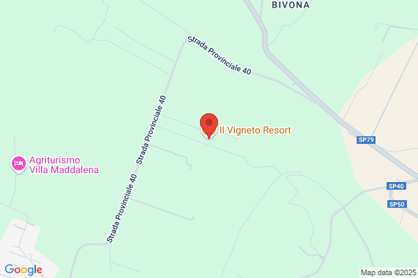 Ristorante Pizzeria Il Vigneto