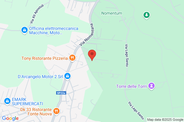 D'Arcangelo Motor - Showroom