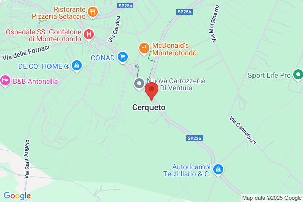 Fiorenza Auto Srl