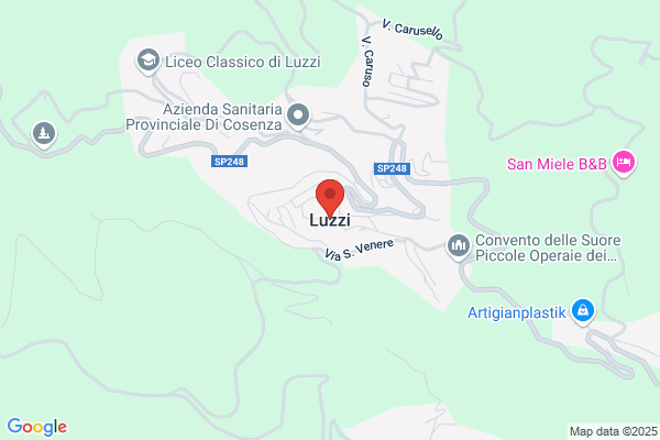 Luzzi domenico