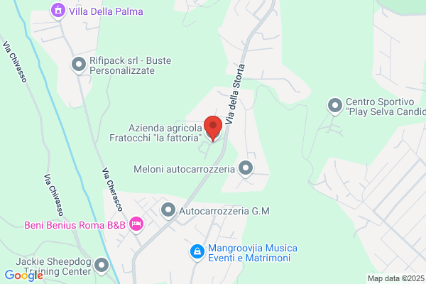 Fratocchi Augusto