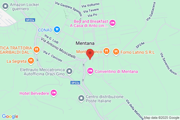 Medicenter Mentana Srl