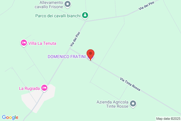 Fratini Costantino