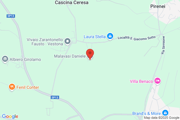 Malavasi Paltrinieri virginia