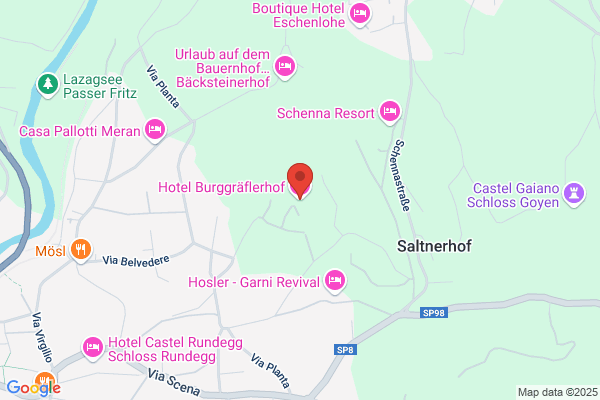 Hotel Burggr:aflerhof