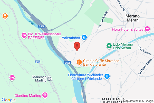 Scuole Pubbliche/Scuola Prof. Lin.Ted. Commer.Artig.Indust. Dipl.In/// en/Landes