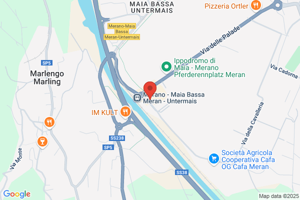 Micheli giusto